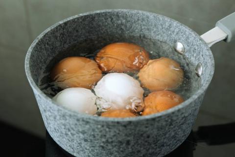 srot-24-news-image6941.jpg