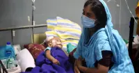 2306535.webp